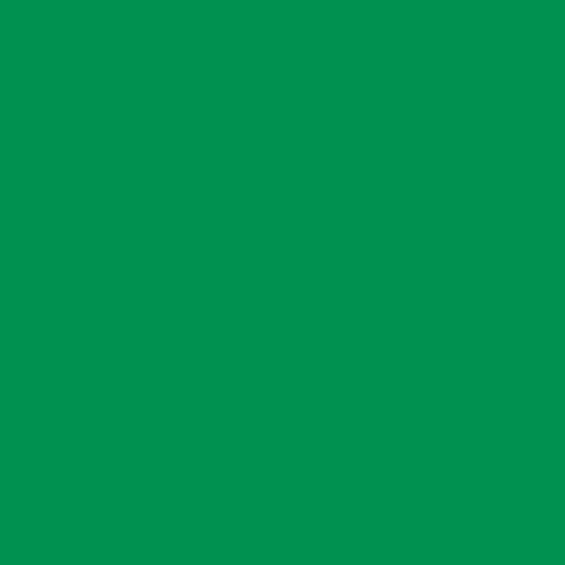 Color RGB 0,145,80 : Spanish green