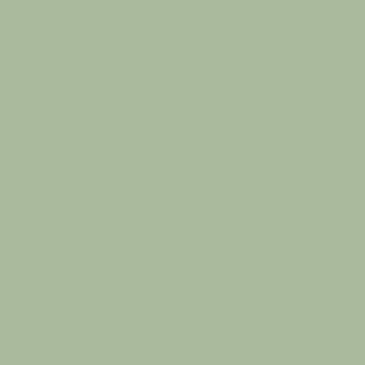 Color RGB 169,186,157 : Laurel green