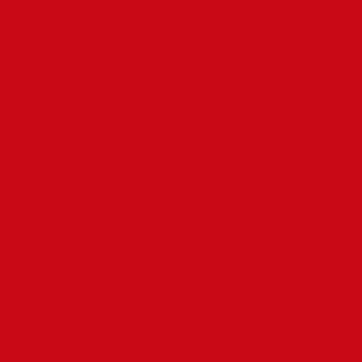 Color RGB 200,8,21 : Venetian red
