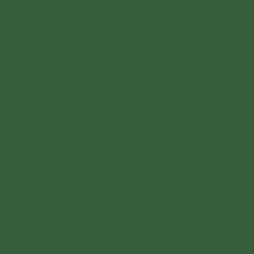 Color RGB 53,94,59 : Hunter green