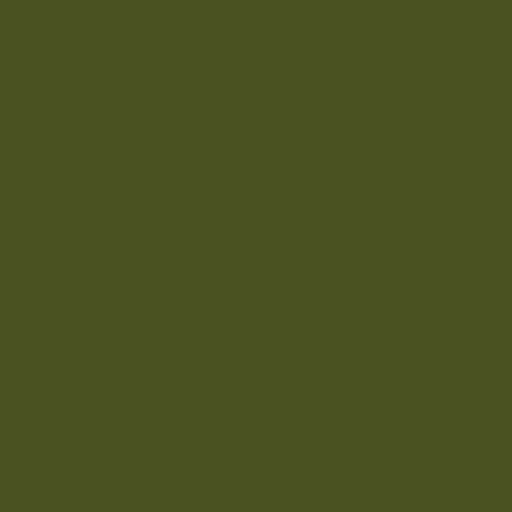 Color RGB 75,83,32 : Army green